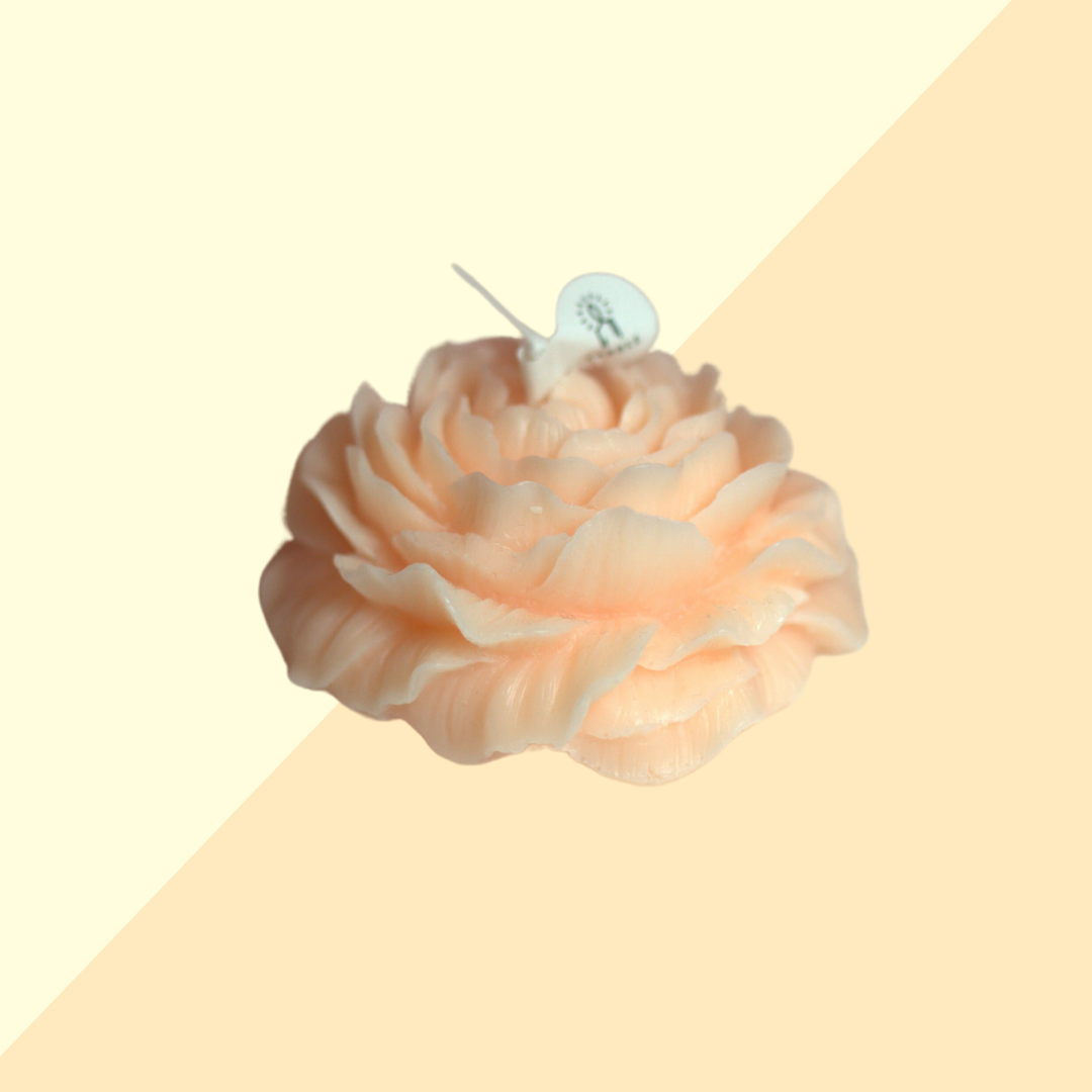 Bougie Pivoine Pêche