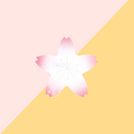 Post it Sakura - Rose