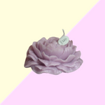 Bougie Pivoine - Violet