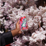 Welch's Fraise - Soda aux fruits (355ml)