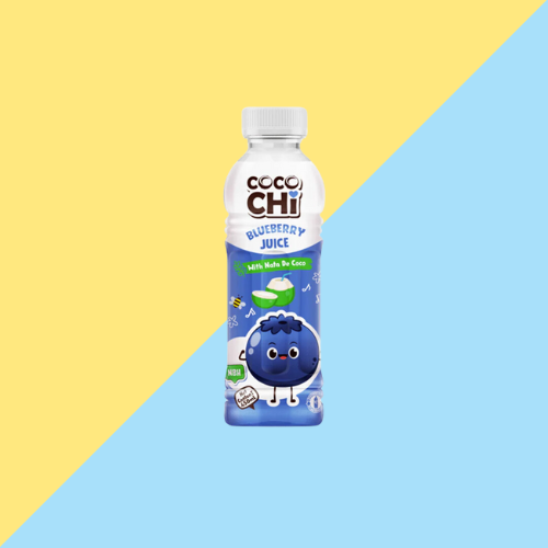 Cocochi Myrtille - Boisson à la Nata de Coco 450ml