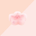 Gomme Sakura