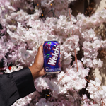 Welch's Raisin - Soda aux fruits (355ml)