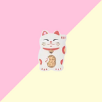 Éponge Lucky Cat